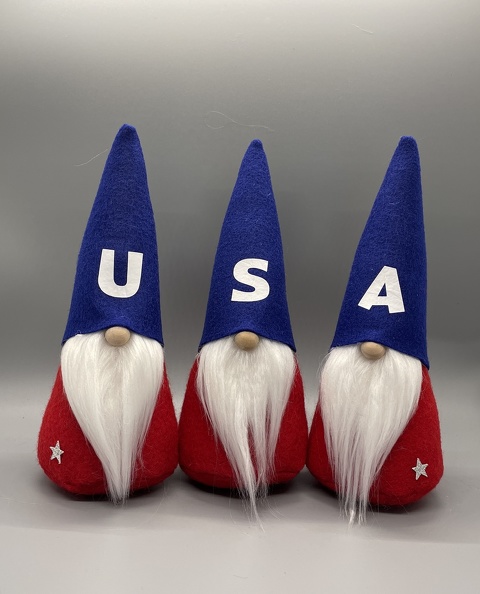 USA Gnomes1.jpg